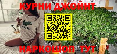 дмт Будённовск