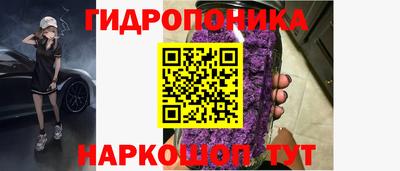 дмт Будённовск