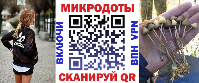 Псилоцибиновые грибы ЛСД  наркота  маркетплейс формула  Карачаевск  гидра как зайти 