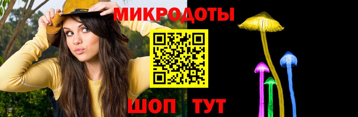 Галлюциногенные грибы мицелий  сколько стоит  Карачаевск  Вход с VPN  Псилоцибиновые грибы мухоморы 