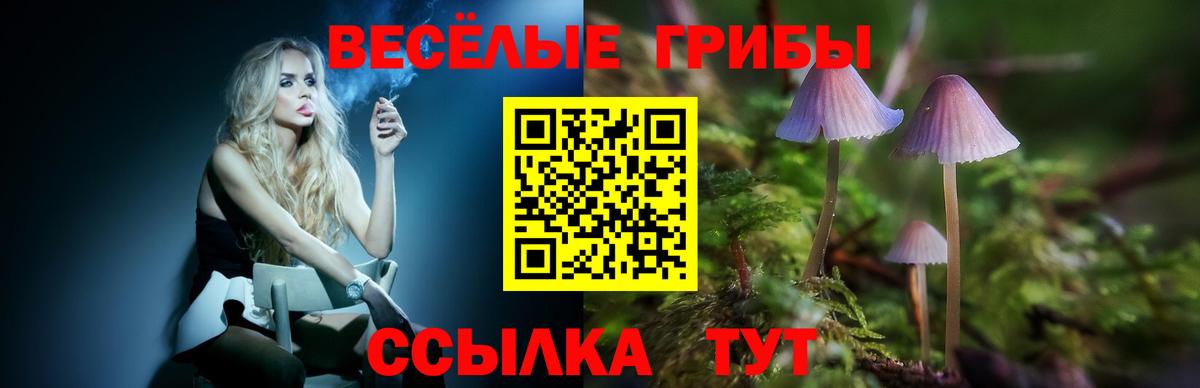 Галлюциногенные грибы MAGIC MUSHROOMS Карачаевск