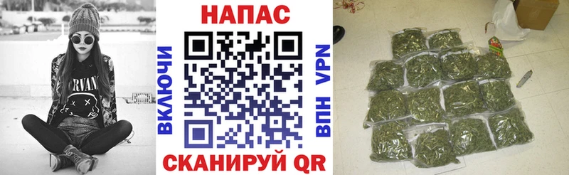 Каннабис план  Карачаевск 